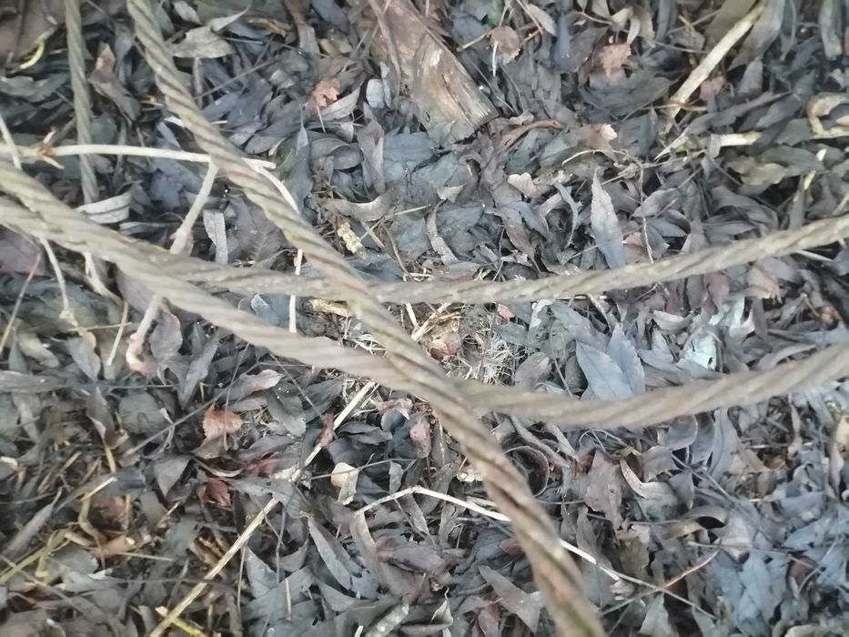 Zabytkowy piorunochron na dom /plecionka/ozdoba rustyklna