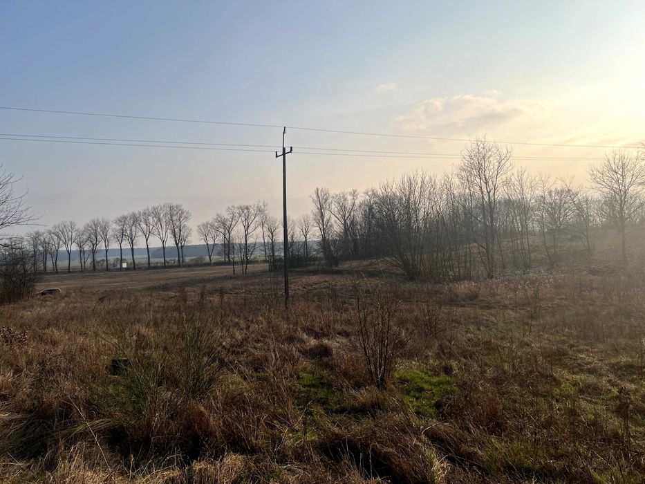 Działka na sprzedaż Drzeniów 87/1   3678 m²  gm. Cybinka
