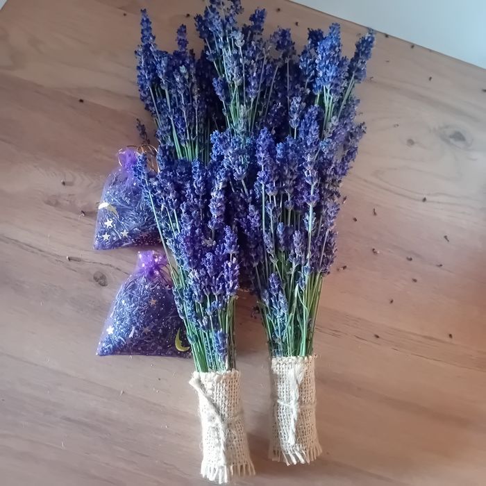 Bukiet suszonej lawendy dekoracja aromaterapia piękna.
