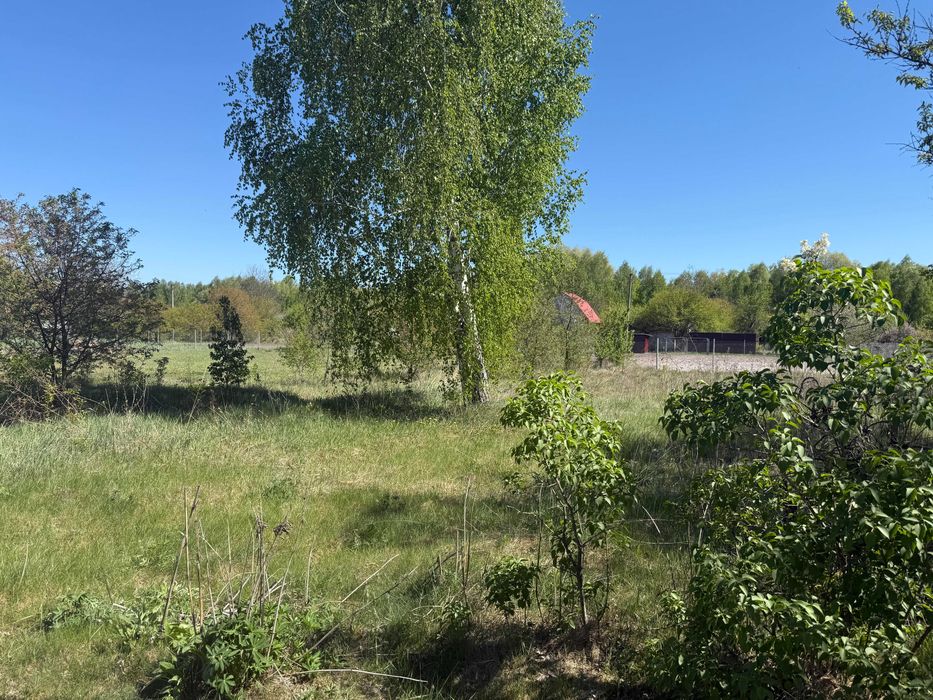 Продається земельна ділянка в СТ "Березовий Гай", Броварський район