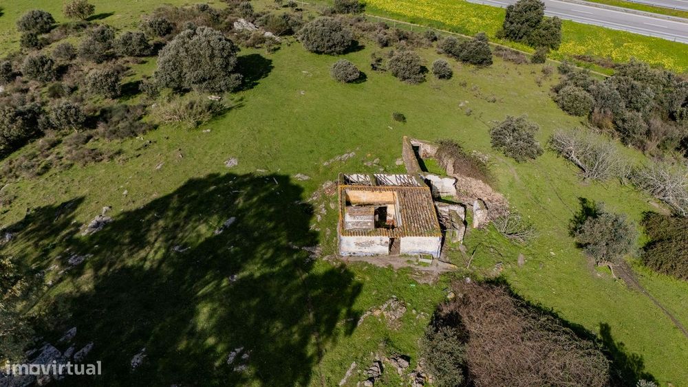 Quinta para Venda em Borba | com ruína de habitação e anexo | Alentejo