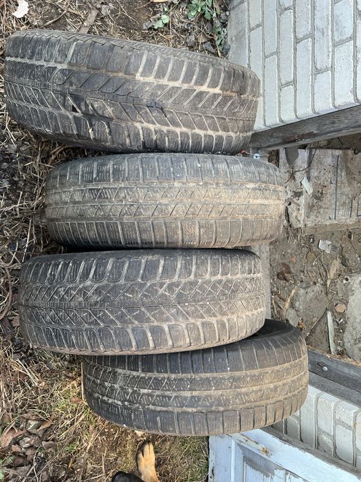 215-65-16 зимня резина