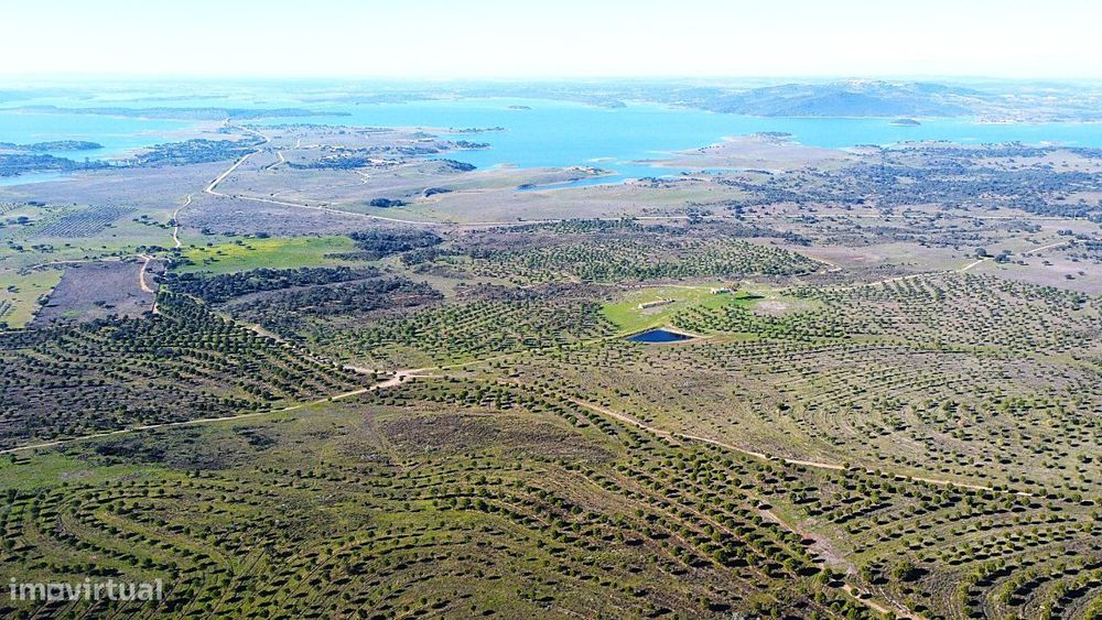 Herdade junto ao Lago de Alqueva - Mourão