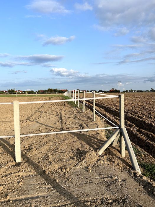 Słupki pod siatkę leśną i pastucha 220cm PRODUCENT