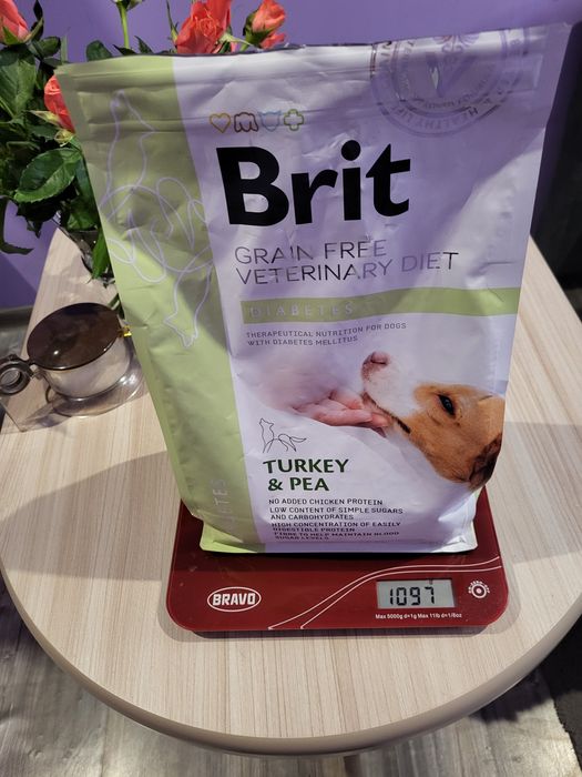 Karma brit dla psa z cukrzyca