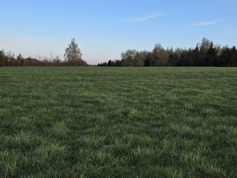 Działka Lemany, 15.79 ara z warunkami zabudowy
