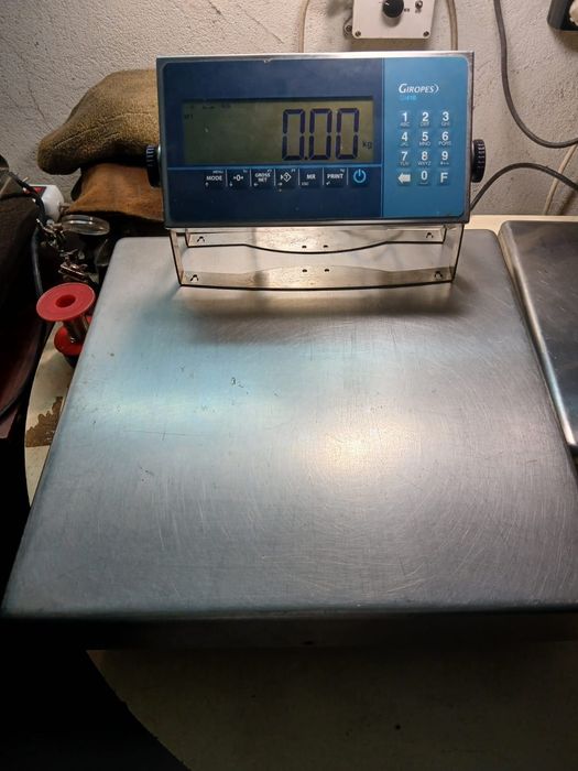 Balança Electrónica 30kg