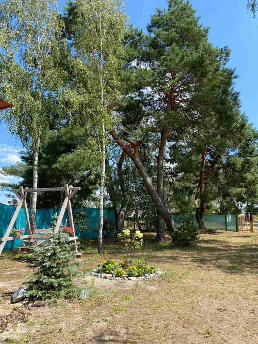 Баня на дровах в екосадибі Тальки біля соснового лісу