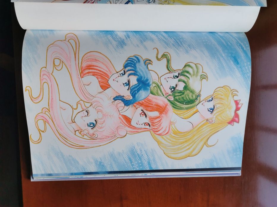 Le Grand Livre de Sailor Moon