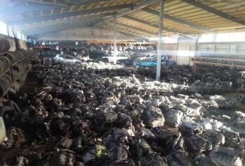 Клапан егр egr датчик Trafic Vivaro Master Laguna Scenic 1.9dci Megane