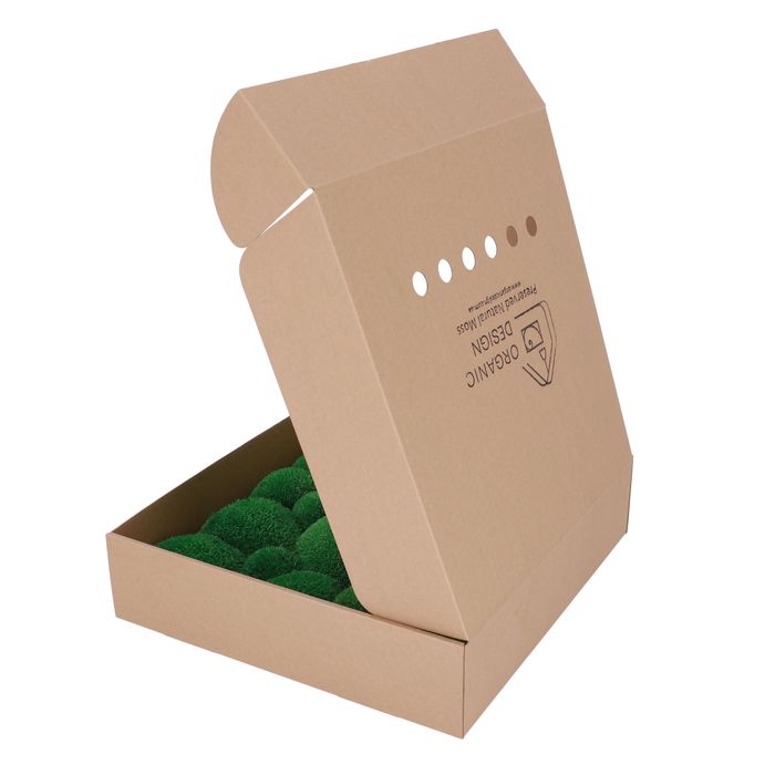 Стабілізований Мох Кочка