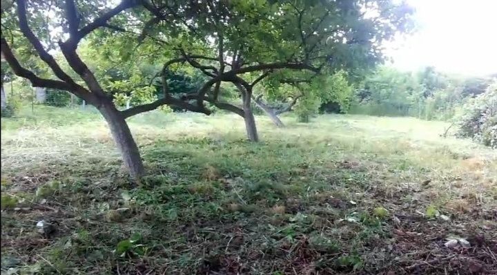 Продається дача в селі Клузів