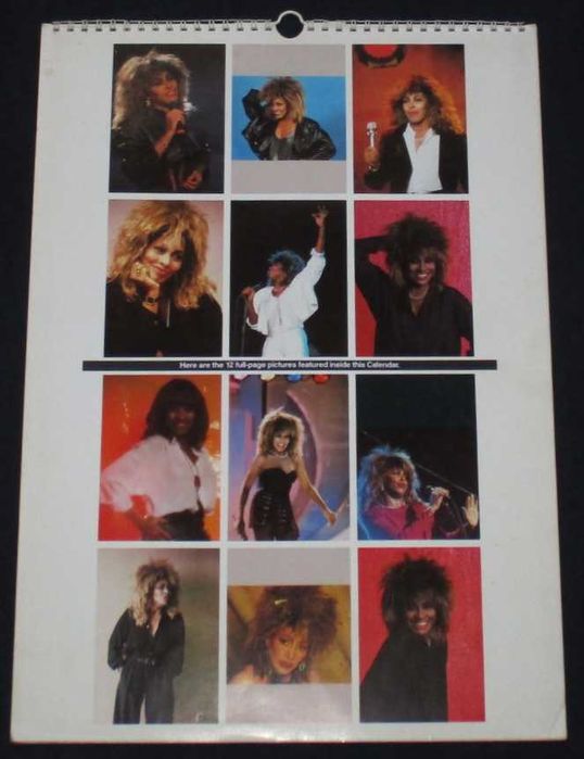 Calendário de Parede de 1993 Poster Tina Turner