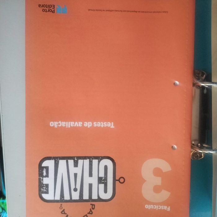 Manual e caderno de atividades de português 9⁰ ano