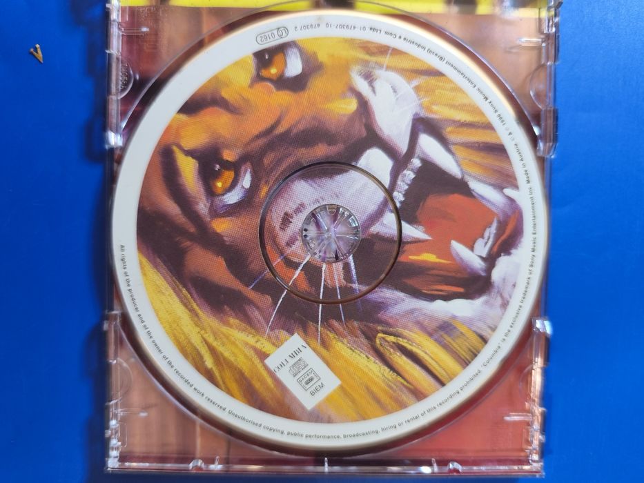 Cd Skank  o samba pocone