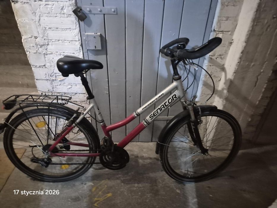 Rower damski Senator