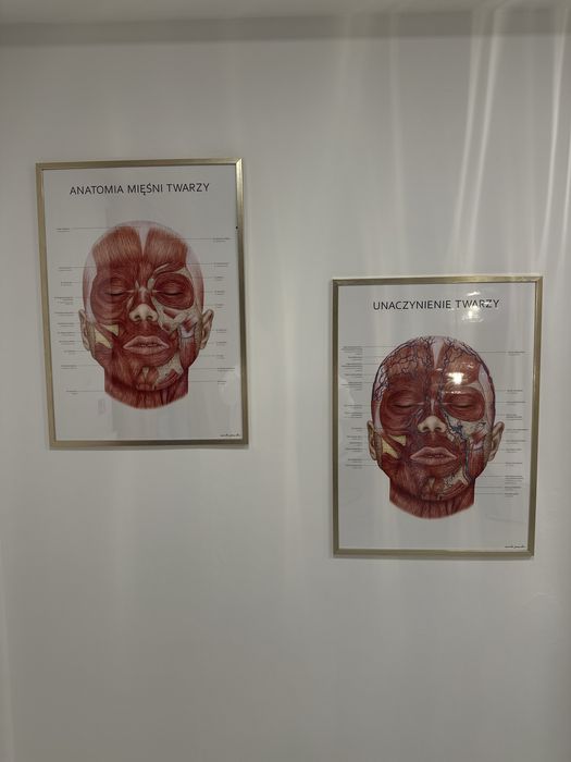 Sprzedam plakaty anatomiczne