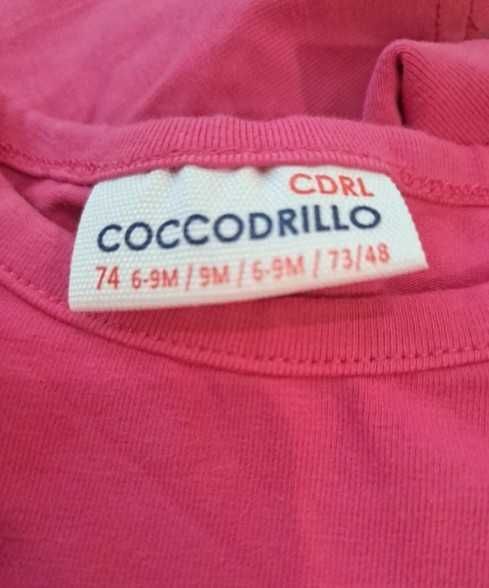 Bluzka dziewczęca 74 COCCODRILLO