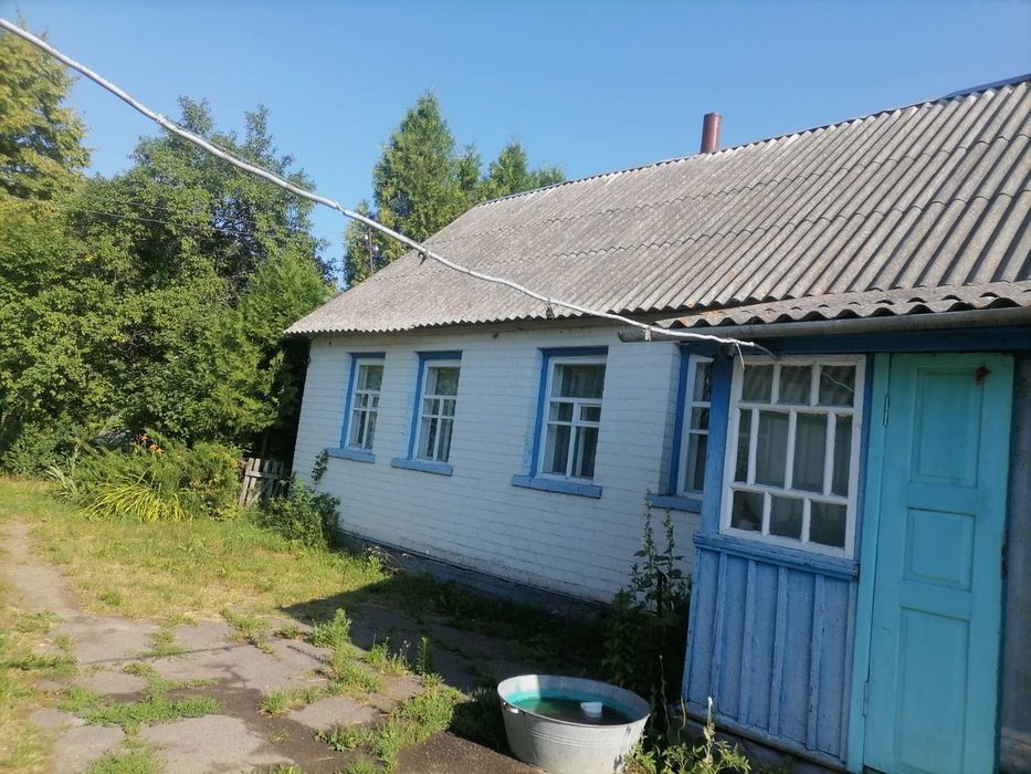 Село Дівочки Черняхівський район Житомирська область