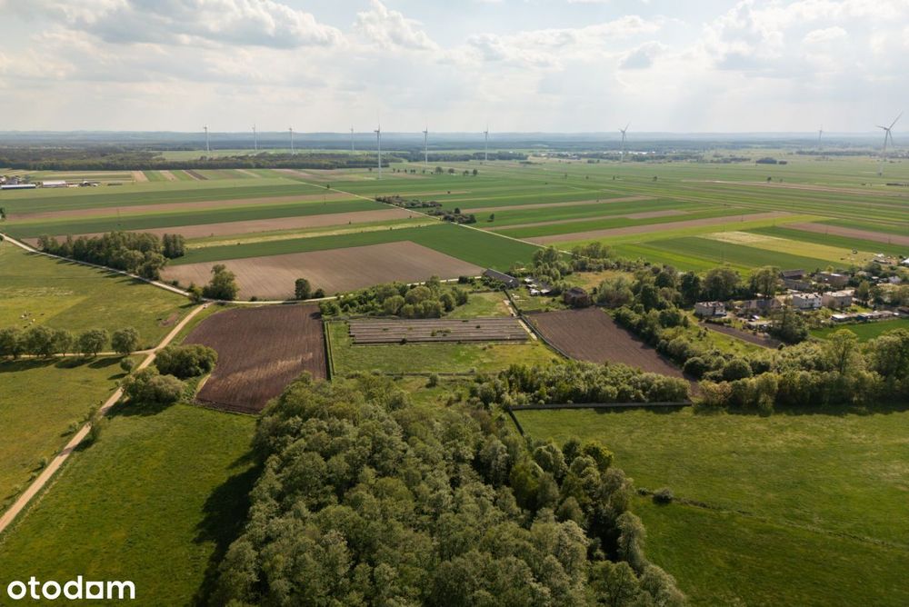 9,25 ha terenu inwestycyjnego z zabudowaniami - Widok 5