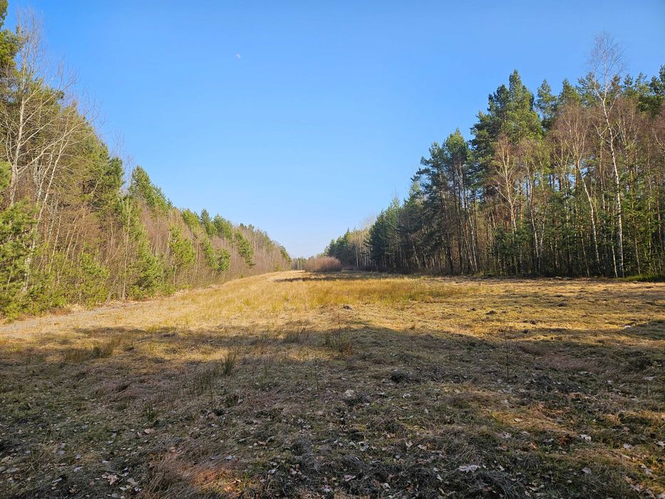 Sprzedam działkę rolną 1,66 ha w Jeżowie gm. Końskie, pow. konecki