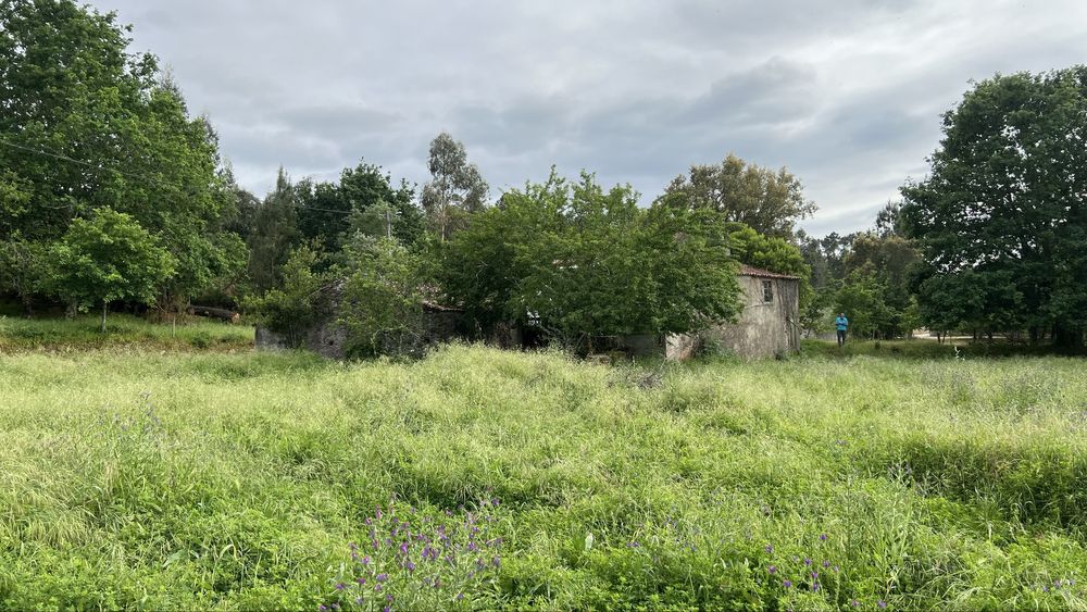 Venda Casa De Aldeia
