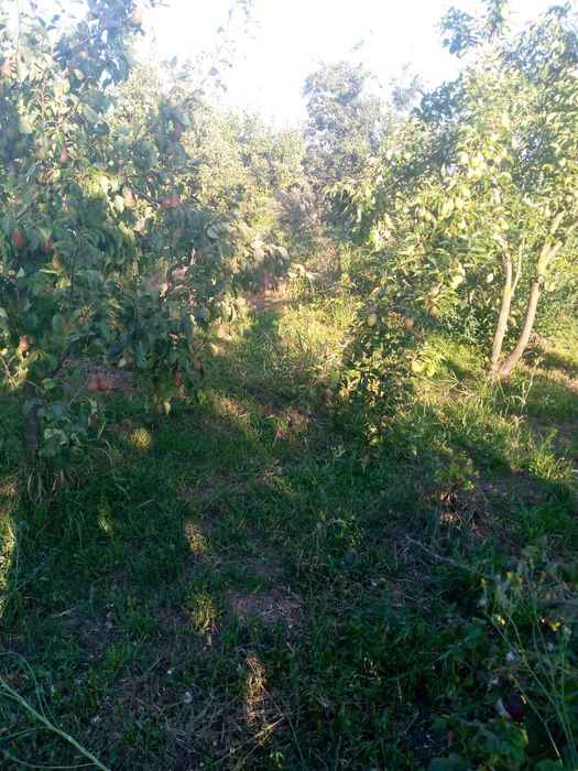 Сдам комнату в сельском доме с удобствами