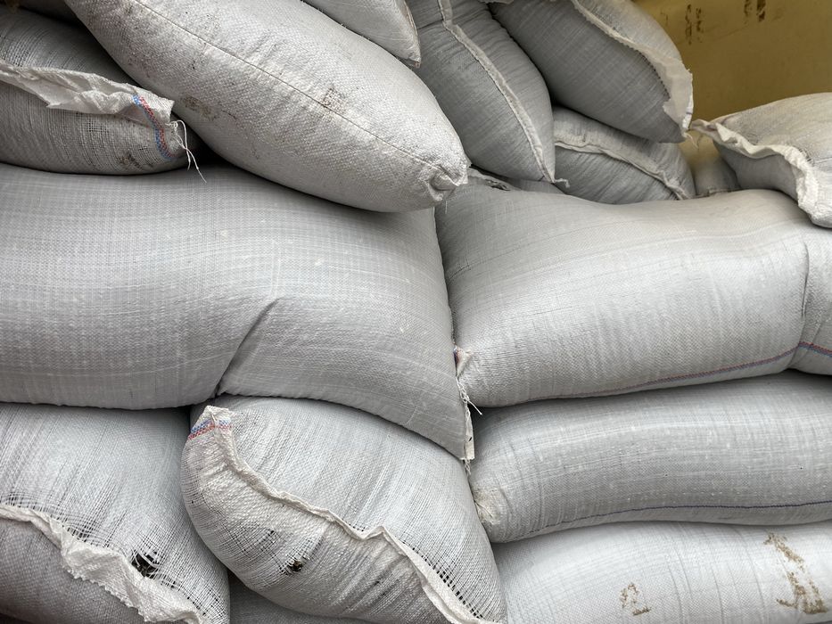 Насіння соняшнику Олійне