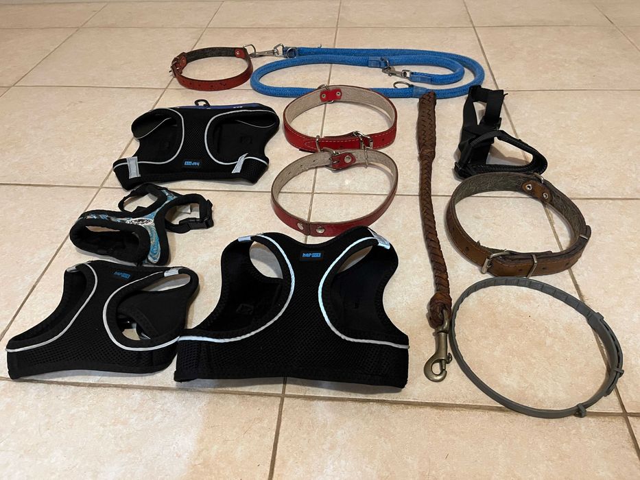 4 Szelki dla Psa XL, M, S, 2 Smycze, 5 Obroży i Regulowany Kaganiec