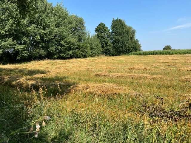 Działka 1,13 ha z domem i naturalnym stawem – zielona oaza blisko Kalisza - Widok 3