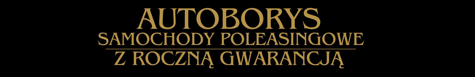 SAMOCHODY POLEASINGOWE KRAJOWE UŻYWANE Z GWARANCJĄ top banner