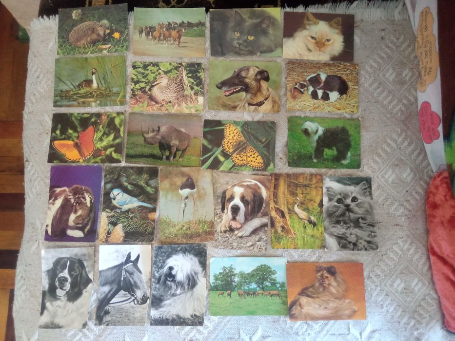 Продам поштові листівки тварин та міст, німецькі (НДР) та часів СРСР