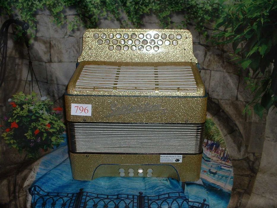 Concertinas a venda N.796 Penedono • OLX Portugal