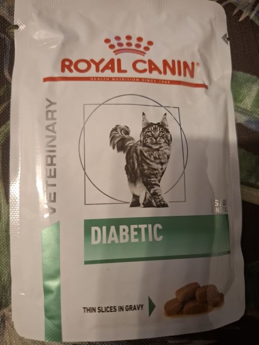 Royal Canin Diabetic dla kota z cukrzycą