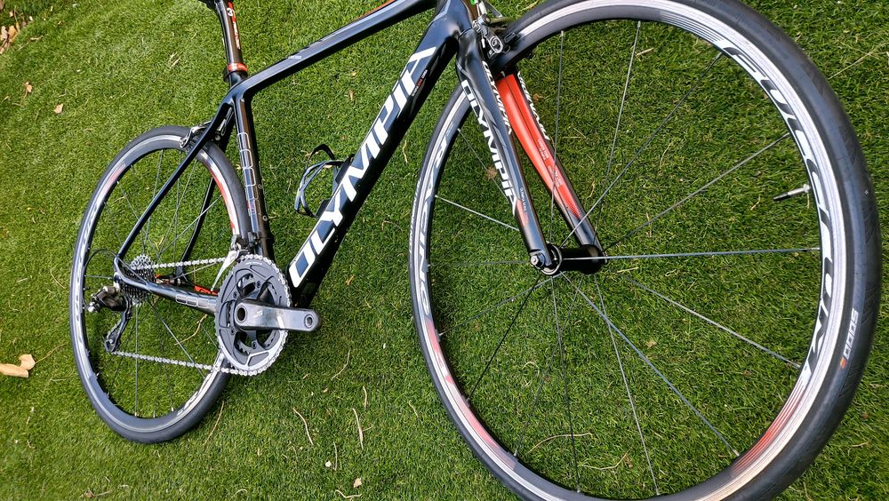 Olympia carbono t54