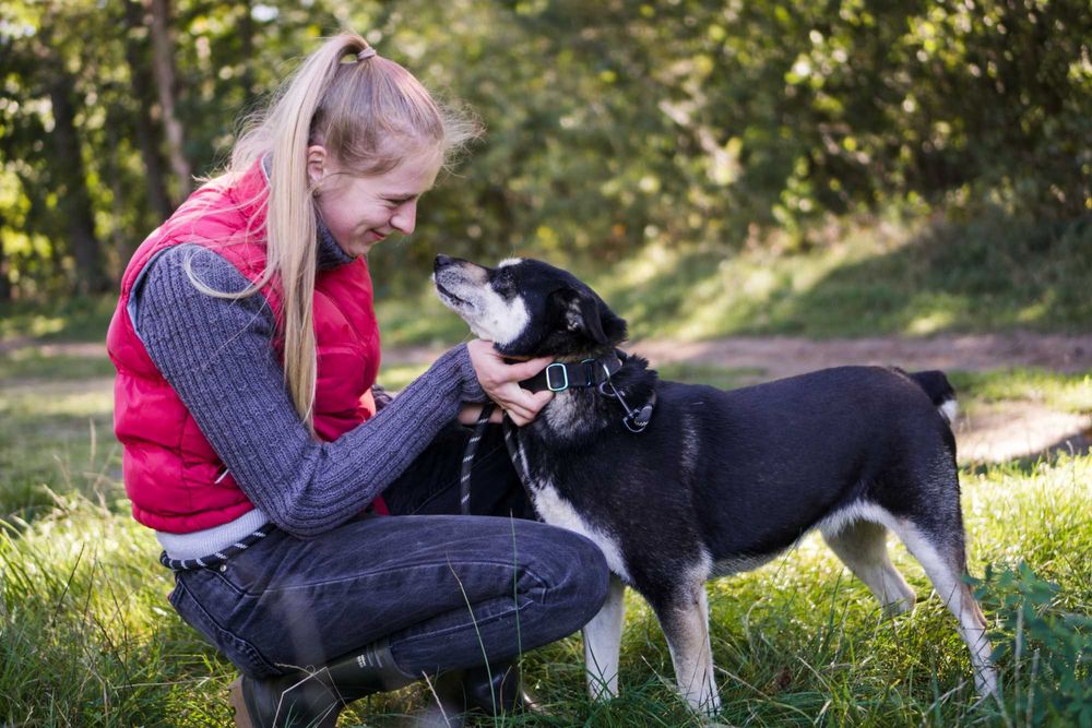 8 letnia Ksenia do adopcji!