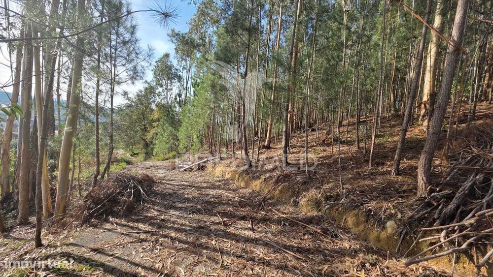 Oportunidade - Terreno Urbano com 842 m² – Santa Eufémia, Leiria — Santa Eufémia E Boa Vista, Leiria
