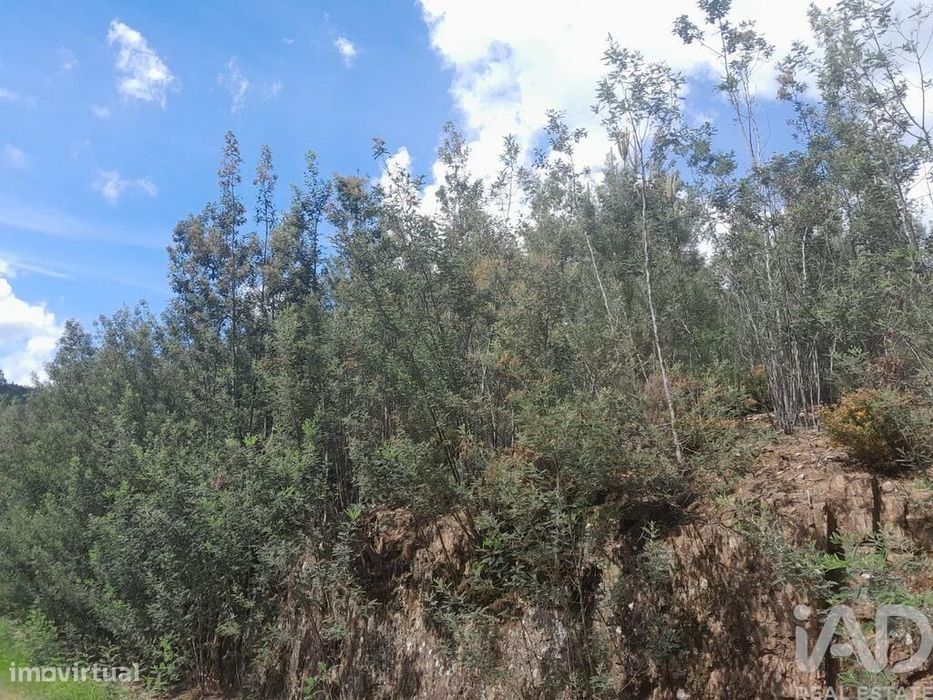 Terreno em Cortes do Meio