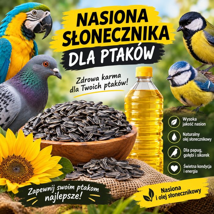 Słonecznik dla ptakow Słonecznik czarny