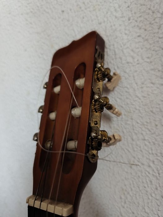 Guitarra clássica parrot
