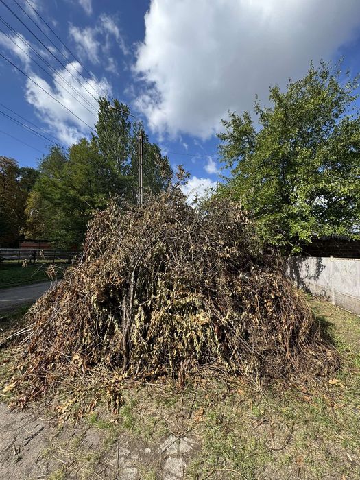 Вывоз веток,покос травы