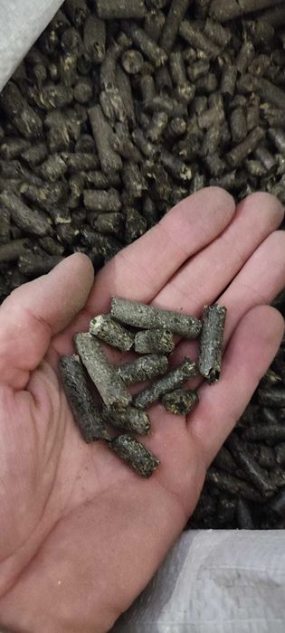 Pellet z łuski słonecznika
