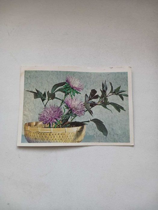 Поштові листівки (почтовые открытки) часiв СССР