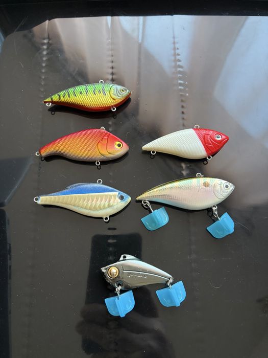 Japońskie cykady zestaw 6 sztuk