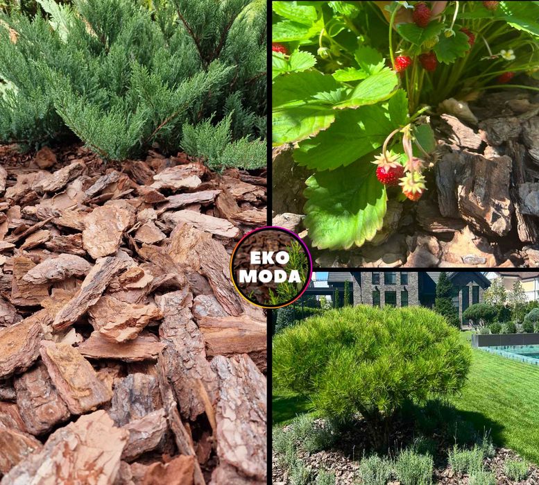 Соснова кора ВЕЛИКА 6–13 см, (є агроволокно, садовий інструмент)