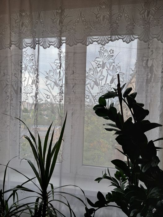 3 кімнатна. Квартира