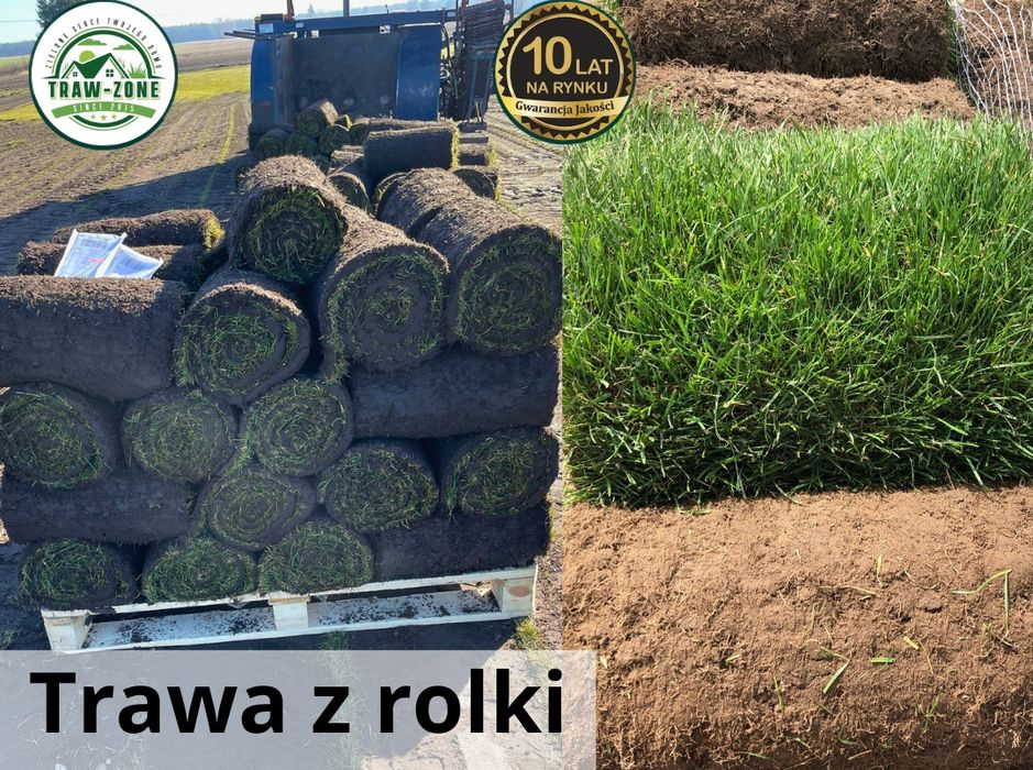 Trawa z rolki + TRANSPORT i MONTAŻ | Gęsta Darń, Najwyższa Jakość