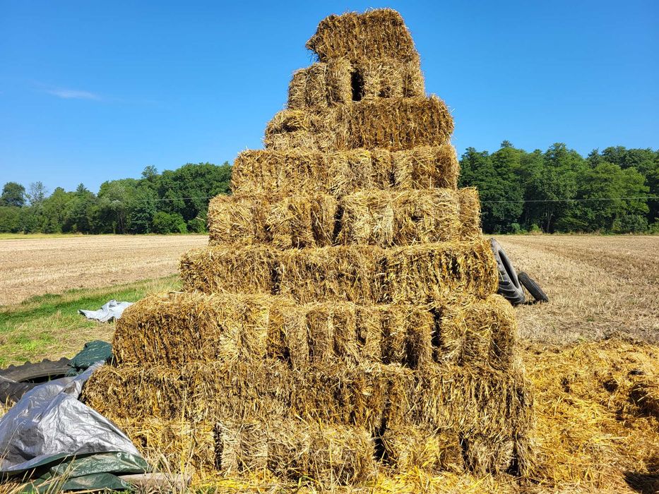 Słoma kostka sucha, bez deszczu.