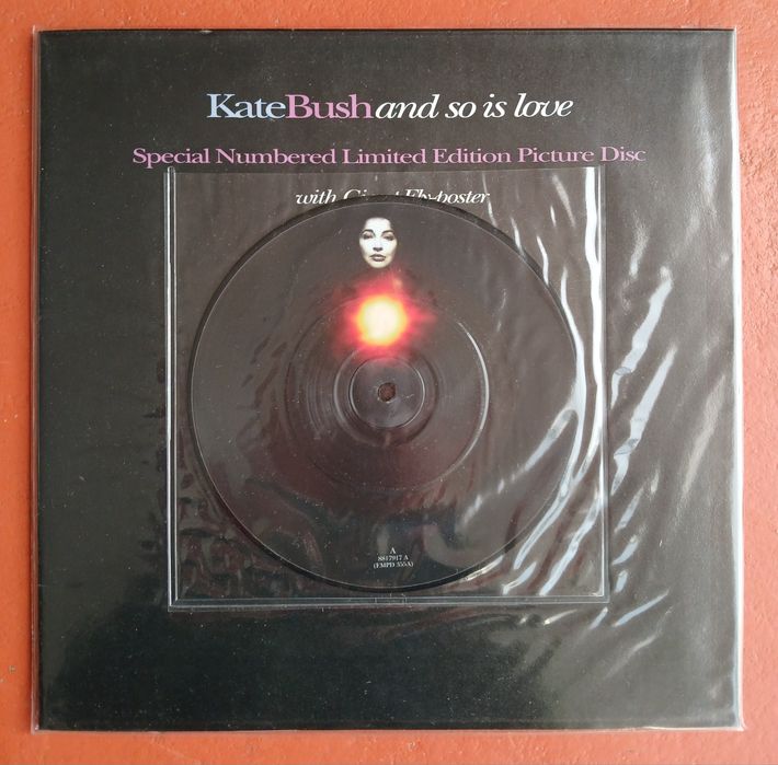 Picture discs : Vinil