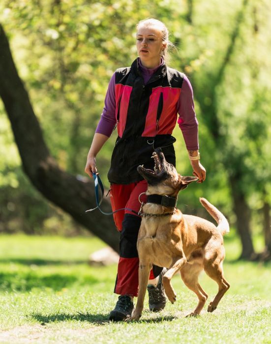 Індивідуальне перевезення тварин від  кінолога